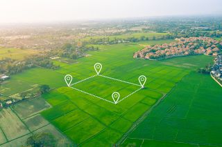 Foto: Feld